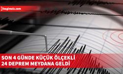 Rum basını: Son 4 günde küçük ölçekli 24 deprem meydana geldi