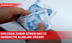 Doludan zarar gören bağ ve narenciye alanları ödendi