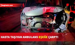 Ambulans yola atılan yabani eşek sürüsü içerisindeki eşeğe çarptı…