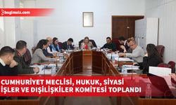 Cumhuriyet Meclisi, Hukuk, Siyasi İşler ve Dışilişkiler Komitesi toplandı