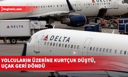 Yolcuların üzerine kurtçuk düşünce uçak geri dönmek zorunda kaldı