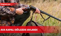 Ava kapalı bölgede avlandı, hakkında yasal işlem başlatıldı!