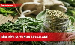 Biberiye suyunun faydaları!