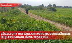 Güzelyurt Hayvanları Koruma Derneğinden İçişleri Bakanlığına teşekkür...