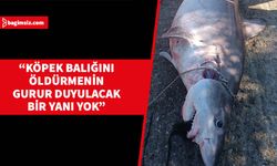 Meclis Başkan Yardımcısı ve CTP Milletvekili Özdenefe, köpek balığı yakalanmasıyla ilgili haberi değerlendirdi