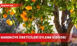 Narenciye üreticileri “yok olmamak” için eyleme gidiyor!