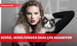 Taylor Swift servetine servet kattı