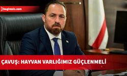 “Hayvan varlığı olarak büyümemiz gerekiyor”