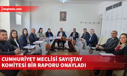 Cumhuriyet Meclisi Sayıştay Komitesi bir raporu onayladı