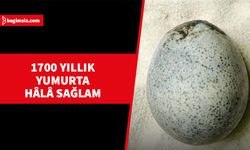 1700 yıllık Roma yumurtasının hâlâ sağlam olduğu keşfedildi