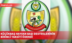 2024 yılı küçükbaş hayvan başı desteklerinin birinci taksiti ödendi