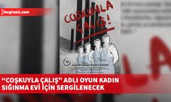 Levent College Tiyatro Kulübü “Coşkuyla Çalış” adlı oyunu, Kadın Sığınma Evi için sergileyecek