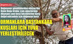 Ormanlara baştankara kuşları için yuva yerleştirilecek