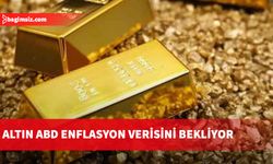 Altın ABD enflasyon verisini bekliyor