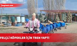 Felçli köpekler için tren yaptı