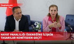 Hayat pahalılığı ödeneğine ilişkin tasarılar komiteden geçti