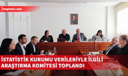 İstatistik Kurumu verileriyle ilgili araştırma komitesi toplandı