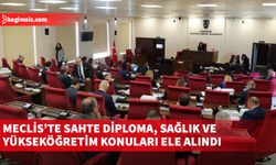 Sahte diploma, sağlık ve yükseköğretim konuları ele alındı