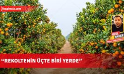 Bardakçıoğlu: Bu yıl ihracat yok denecek kadar az…