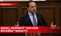 CTP Milletvekili Şahali, hükümeti "çam kese böceğine" benzetti