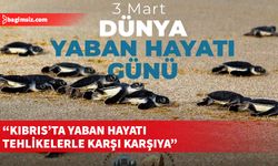 Taşkent Doğa Parkı'ndan “3 Mart Dünya Yaban Hayatı Günü” mesajı...