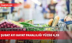 İstatistik Kurumu şubat ayı hayat pahalılığını yüzde 4,59 olarak açıkladı