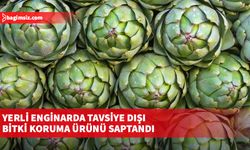 Yerli enginarda tavsiye dışı bitki koruma ürünü saptandı