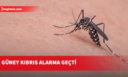 Güney Kıbrıs’ta sivrisinek alarmı...