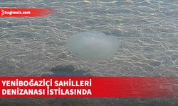 Yeniboğaziçi sahil şeridi denizanası istilasına uğradı…