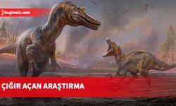 Volkanik patlamaların dinozorları tavuğa çevirdiği ortaya çıktı