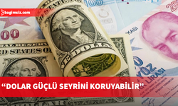 Goldman’dan dolar analizi