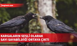 İlk defa insan dışında bir türde görüldü...