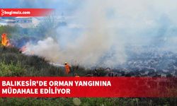 Balıkesir'de orman yangınına müdahale ediliyor