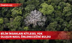 Bilim insanları kitlesel yok oluşun nasıl önleneceğini buldu