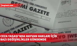 Ceza Yasası’nda hayvan hakları için bazı değişiklikler gündemde