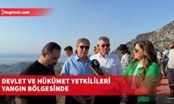 Devlet ve hükümet yetkilileri yangın bölgesinde