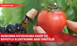 Dokunma duygusuna sahip üç boyutlu elektronik deri üretildi