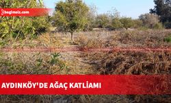 Güzelyurt’a bağlı Aydınköy'de bir tarlada ağaç katliamı yapıldı; 80’i aşkın narenciye ve selvi ağaçları kesildi