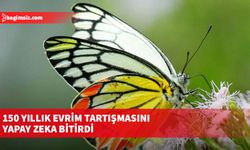 150 yıllık evrim tartışmasını yapay zeka bitirdi