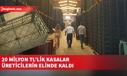 1 milyon 270 bin adet narenciye kasası, üreticilerin elinde kaldı...