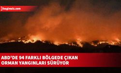 ABD'de 94 farklı bölgede çıkan orman yangınları sürüyor