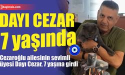 Dayı Cezar, 7 yaşında