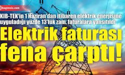 Elektrik faturası fena çarptı!