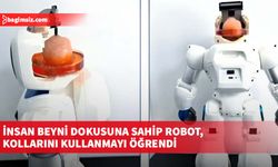 İnsan beyni dokusuna sahip robot, kollarını kullanmayı öğrendi