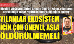 “Yılanlar ekosistem için çok önemli, asla öldürülmemeli”