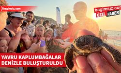 Alagadi sahilinde yavru kaplumbağalar, yumurtalarından çıktı…