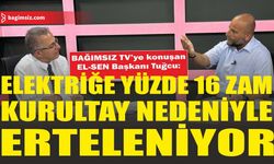 EL-SEN Başkanı Tuğcu: Elektriğe yüzde 16 zam, kurultay nedeniyle erteleniyor