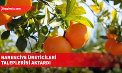 Narenciye Üreticileri taleplerini aktardı