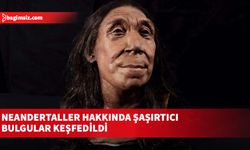 Neandertaller hakkında şaşırtıcı bulgular keşfedildi