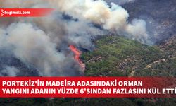 Portekiz'in Madeira adasındaki orman yangını adanın yüzde 6'sından fazlasını kül etti